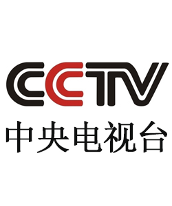 cctv中国中央电视台央视网